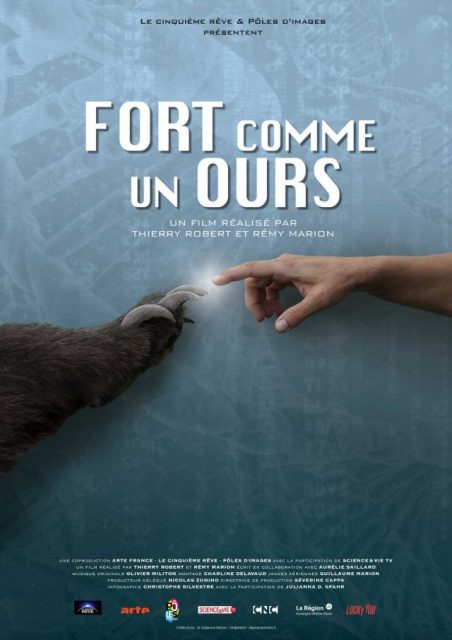 fort comme un ours,fort comme un ours arte,fort comme un ours documentaire,thierry robert,thierry robert réalisateur,bear,fimucite,best music,documentary