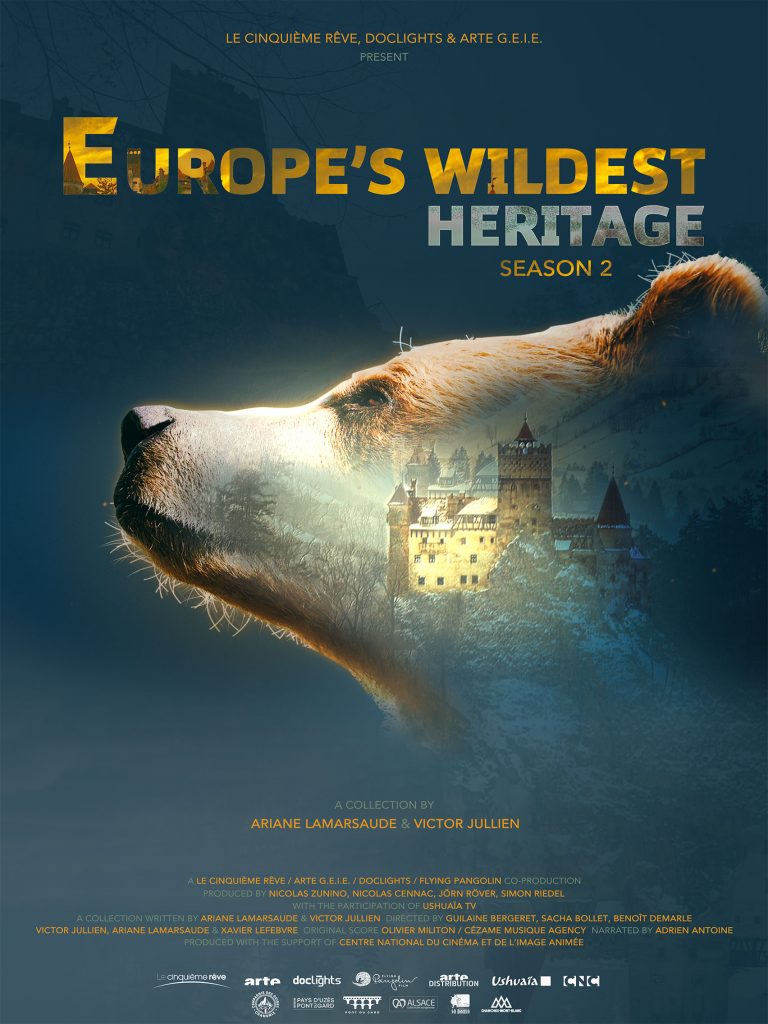 affiche ours va saison 02 light v18