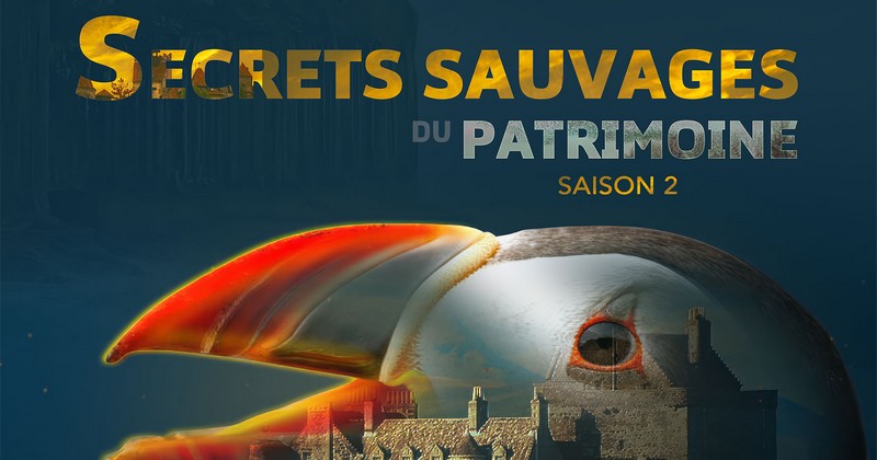 secrets sauvages s2 macareux